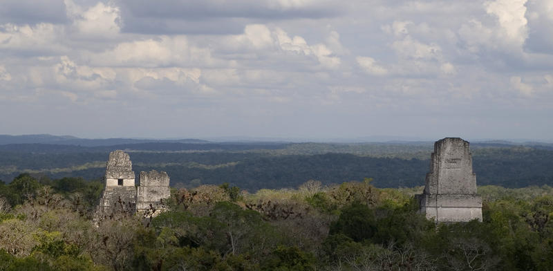 Temples jutting above the jungle canopy at Tikal, Guatamala, film location used in the Starwars films.